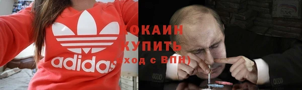 мяу мяу мука Горно-Алтайск